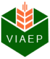 Viện cơ điện